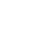 Vital logo